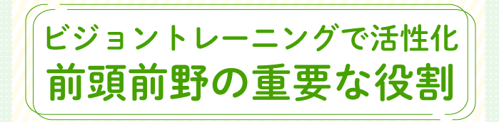 ビジョントレーニングで活性化。前頭前野の重要な役割